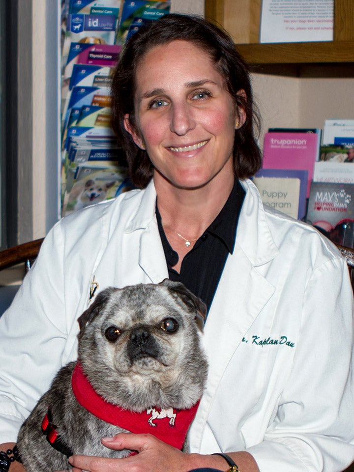 monterey veterinary clinic